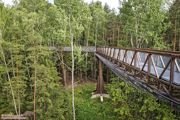 Anykščiai Treetop Walking Path, Lithuania